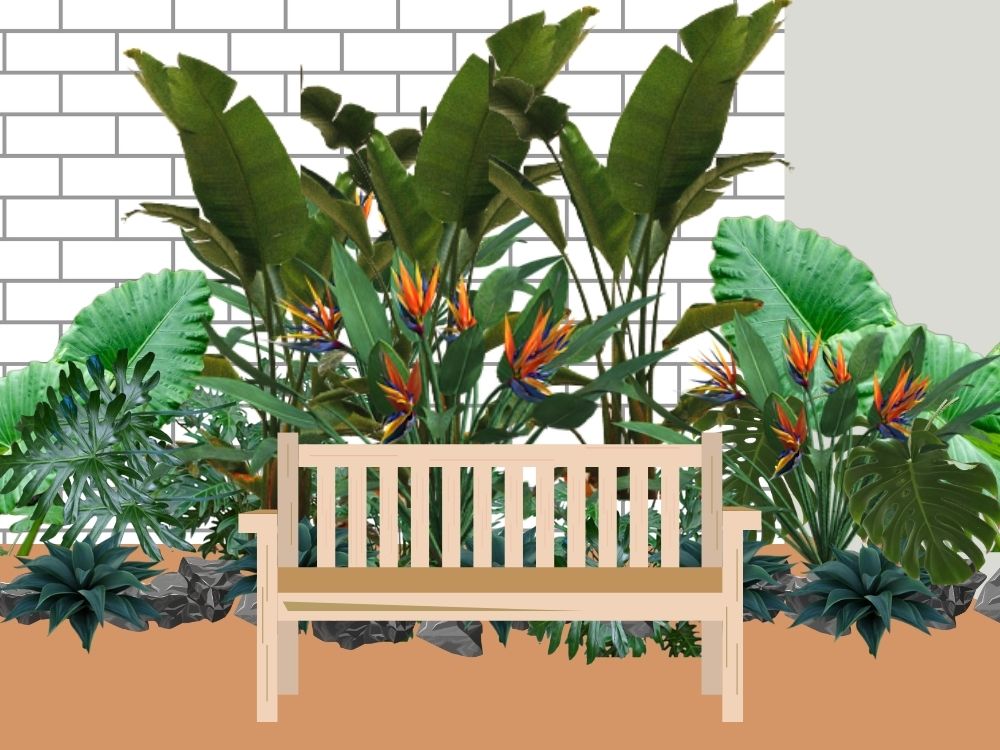Jardim tropical: descubra quais plantas usar e como montar