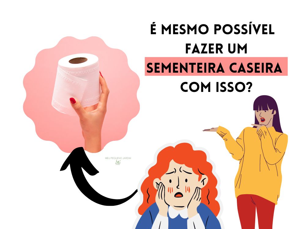 Veja como fazer uma sementeira caseira com rolo de papel higiênico