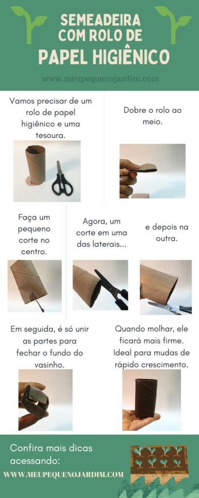 Infográfico explicando como fazer uma sementeira caseira com rolo de papel higiênico